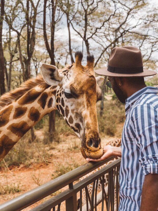 Visita al Santuario degli Animali di Nairobi