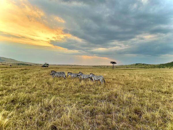 Paquete Safari Kenia Parques Nacionales Emblemáticos con Samburu y Masái Mara