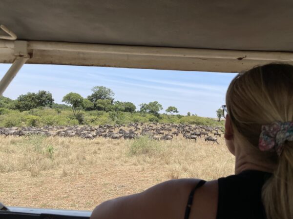 Pacchetto tutto incluso 10 giorni: Safari privato Kenya + Tour